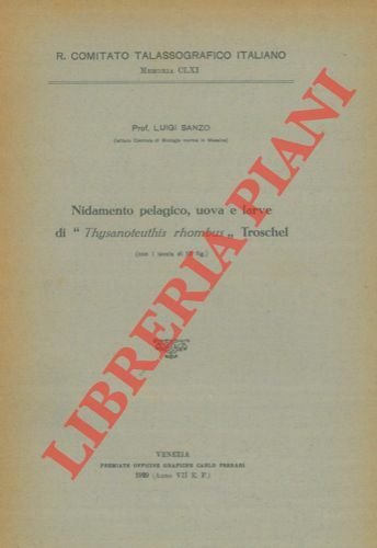 Nidamento pelagico, uova e larve di "Thysanoteuthis rhombus" Troschel.