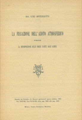 La fissazione dell'azoto atmosferico durante la decomposizione delle foglie cadute dagli alberi.