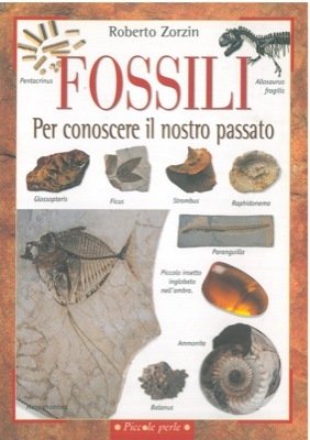 Fossili. Per conoscere il nostro passato.