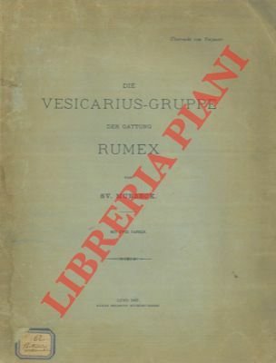 Die Vesicarius-Gruppe der Gattung Rumex.