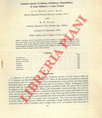 Endemic species of Bulinus (Mollusca: Planorbidae) in Lake Malawi (= …