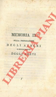 Sulla propagazione degli alberi e specialmente degli abeti.