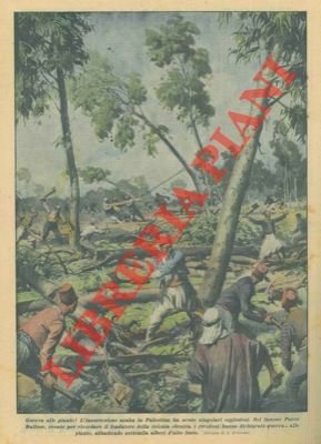 L'insurrezione araba in Palestina ha avuto singolari esplosioni. Nel famoso …