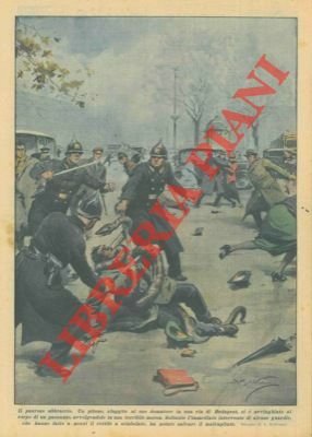 Un pitone, sfuggito al suo domatore, si é avvinghiato al … | Immagine Gallery 1