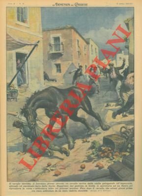 Cavallo a Lusciano presso Aversa, esce dalla stalla galoppando all'impazzata …