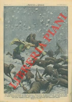 Una grandinata eccezionale, con chicchi di mezzo chilogrammo, ha imperversato …