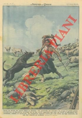 Una pastorella che custodiva un gregge di pecore, accortasi che … | Immagine Gallery 1