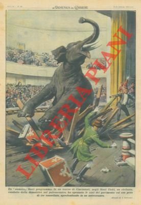 In un teatro di Cincinnati un elefante condotto dalla domatrice …