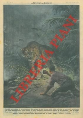 Risvegliato da uno strano soffio caldo sul viso, un pescatore …