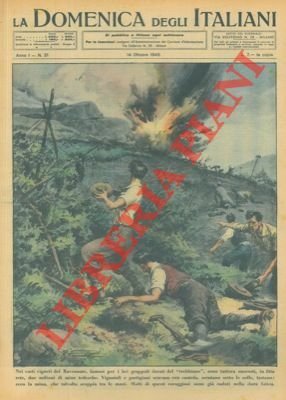 Nei vasti vigneti del ravennate sono nascoste, in fitta rete, …