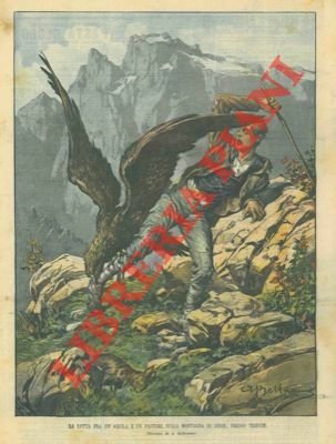 Lotta tra aquila e pastore sulla montagna di Zerie presso … | Immagine Gallery 1