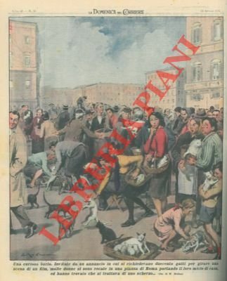 Invitate da un annuncio in cui si richiedevano duecento gatti …