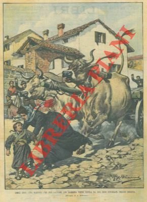 Maestra che, per salvare bimba, viene uccisa da buoi infuriati …