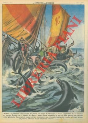 Branco di delfini assale peschereccio, presso Chioggia, per rubare il …