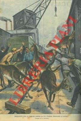 Emozionante fuga di canguri alla stazione ferroviaria di Londra.