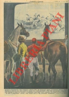Purosangue condotti al cinema, dove viene proiettato film della corsa, …