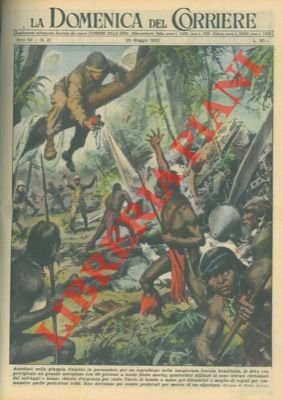 Militari calatisi in paracadute per un sopraluogo nella foresta brasiliana …