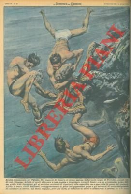 Polpo a Portofino trascina verso il fondo bagnante e quasi …