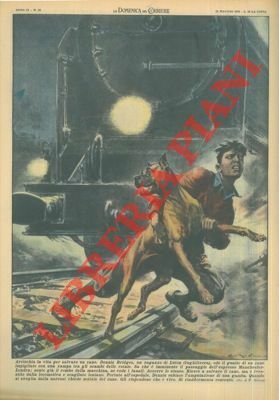 Ragazzo che salva cane impigliato con una zampa tra gli …