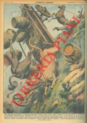 Nell'ascolano un cavallo che tira un calessino e giovenche che …