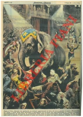 Durante uno spettacolo, un elefante appartenente al circo usciva dalla …