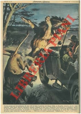 Il prefetto del Basso Giuba, in Somalia, si imbatte in …