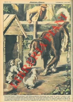 Cagna da caccia torna a casa tenendo in bocca un …