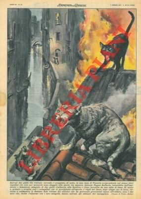 Un violento incendio è scoppiato, di notte, in una casa …