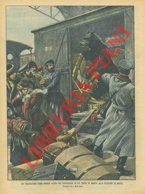 Orso clandestino trovato su un vagone merci di un treno.