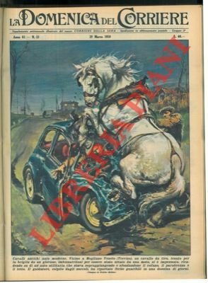 Cavallo da tiro imbizzarrito si impenna, ricadendo su di un'auto …