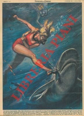 Signora che nuotava al largo di una spiaggia dava un … | Immagine principale