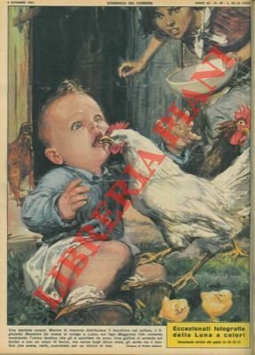 A Luino, una gallina strappa via ad un bambino di due l'unico dentino che gli era spuntato da poco, scambiandolo per un chicco di riso.