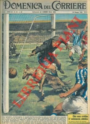 In Danimarca, la squadra del Norrsesundby vince un incontro calcistico …