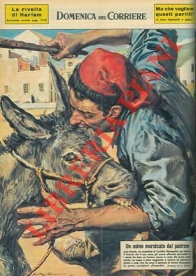 Contadino, per liberare il braccio che il suo asino gli …