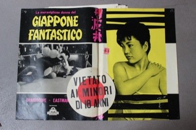 Le meravigliose donne del Giappone fatastico.