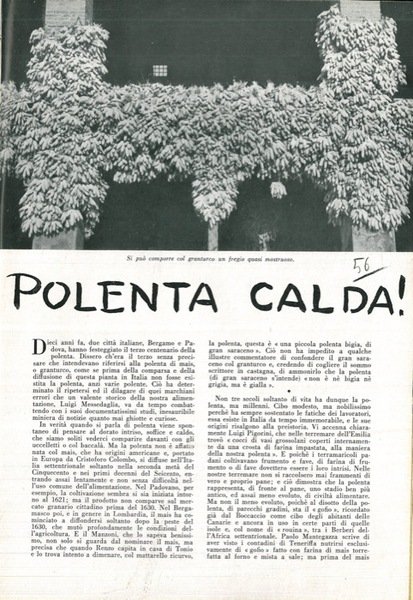 Polenta calda.