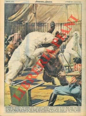 A Bologna, sotto la tenda del circo Togni, un orso …