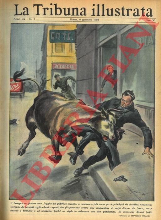 A Bologna un giovane toro, fuggito dal pubblico macello, si … | Immagine Gallery 3