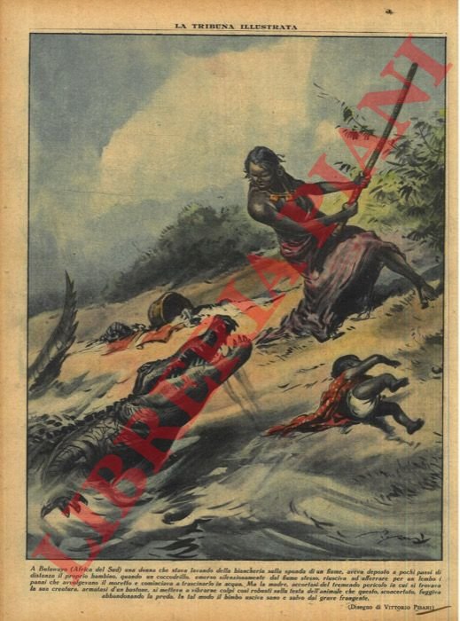 A Bulawayo (Africa del Sud) una donna che stava lavando …