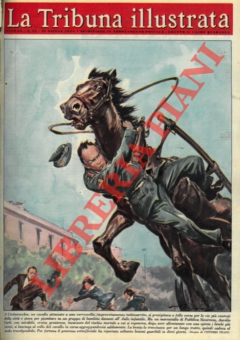 A Civitavecchia, un cavallo attaccato a una carrozzella, improvvisamente imbizzarrito, …