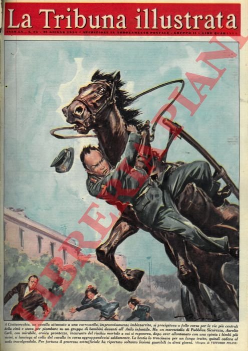 A Civitavecchia, un cavallo attaccato a una carrozzella, improvvisamente imbizzarrito, …