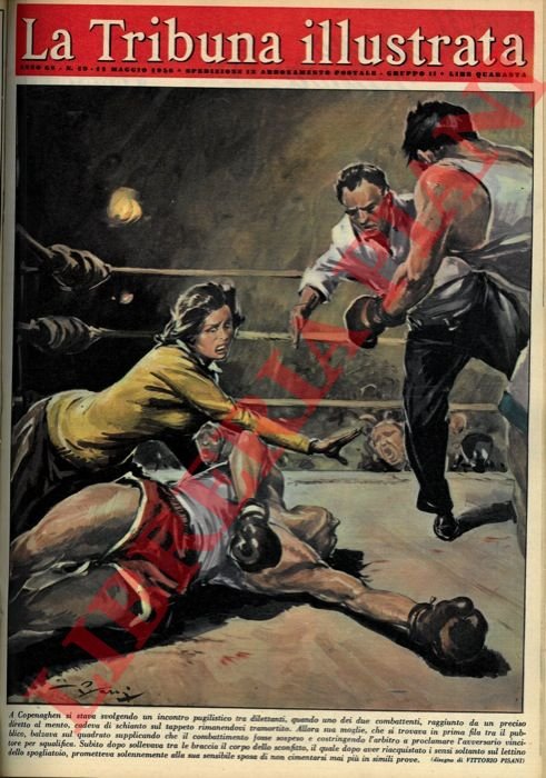 A Copenaghen si stava svolgendo un incontro pugilistico tra dilettanti, …