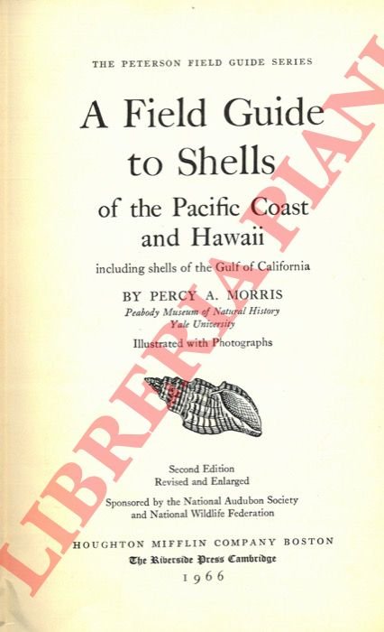 A field guide to shells of the Pacific Coast and …