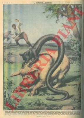 A Fiumefreddo, un mostro dalla testa di gatto e dal …