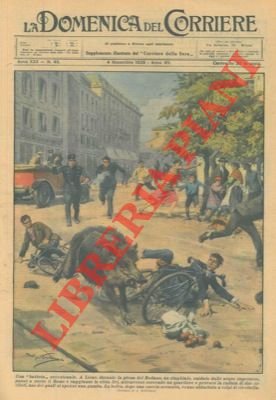 A Lione un cinghiale attraversa un quartiere e provoca incidenti …