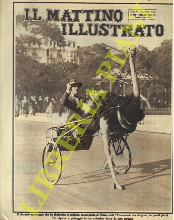 A Nizza un signore a passeggio con calessino tirato da …