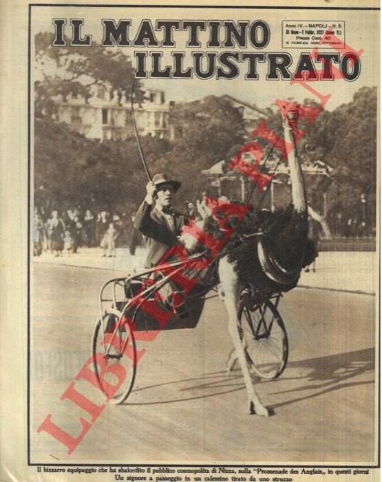 A Nizza un signore a passeggio con calessino tirato da …