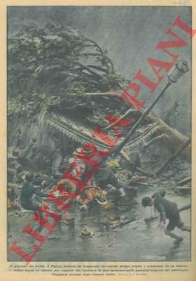 A Parigi, durante un temporale, un enorme pioppo, colpito e …
