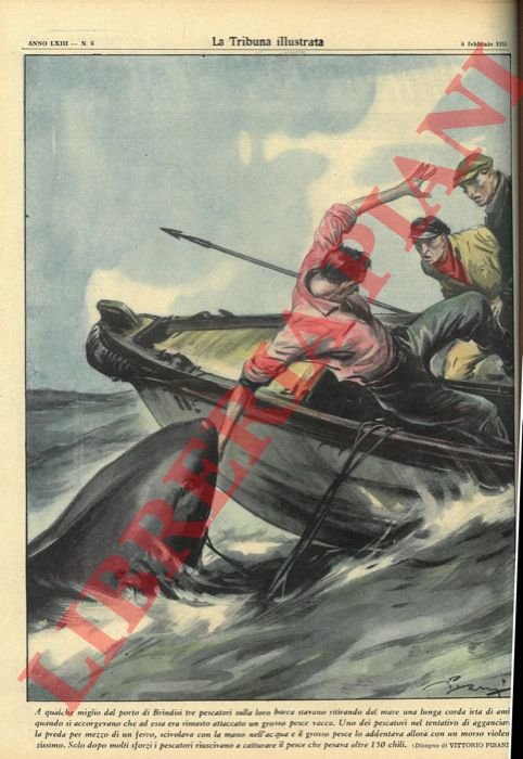 A qualche miglio dal porto di Brindisi tre pescatori sulla …