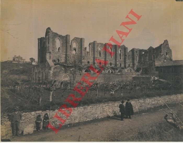 Abbazia di S. Galgano (Siena). Veduta animata.